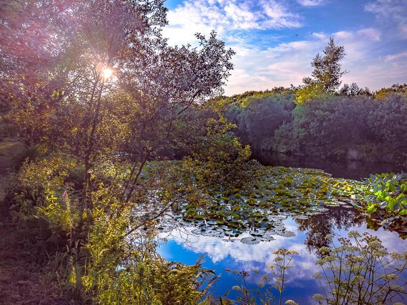 Trecombe Lakes Camborne Exterior foto